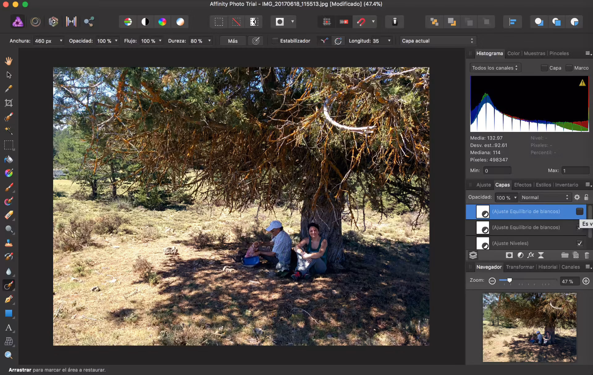Logo affinity photo