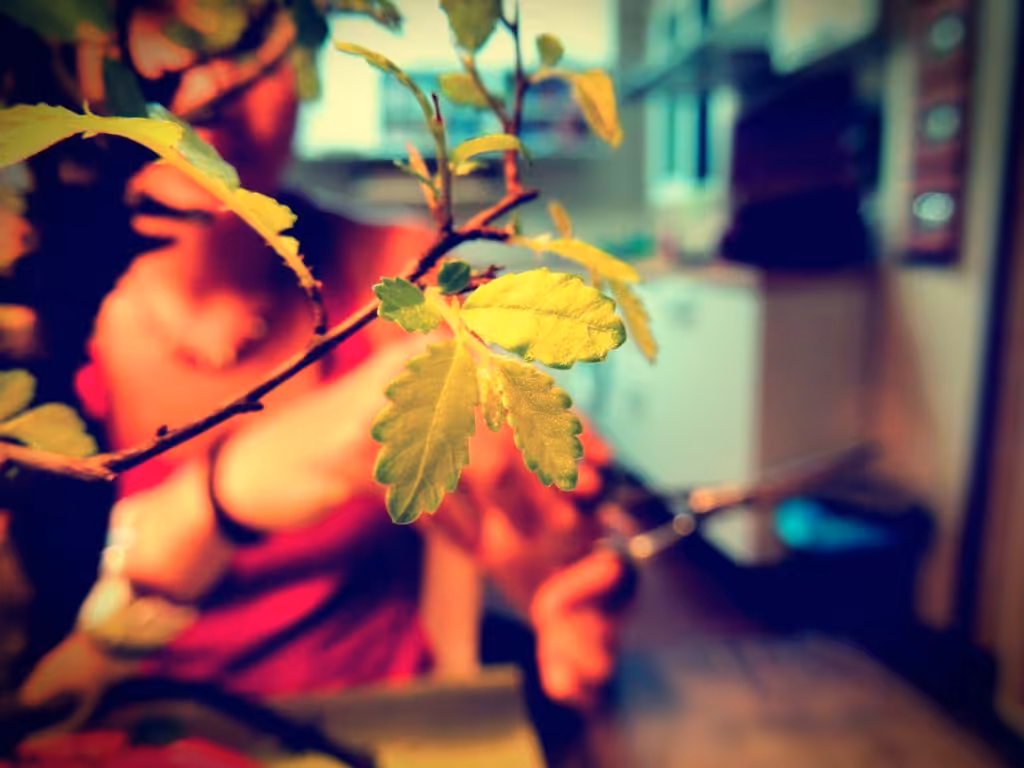 Prune