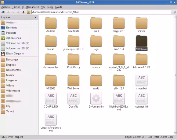 mcserver100