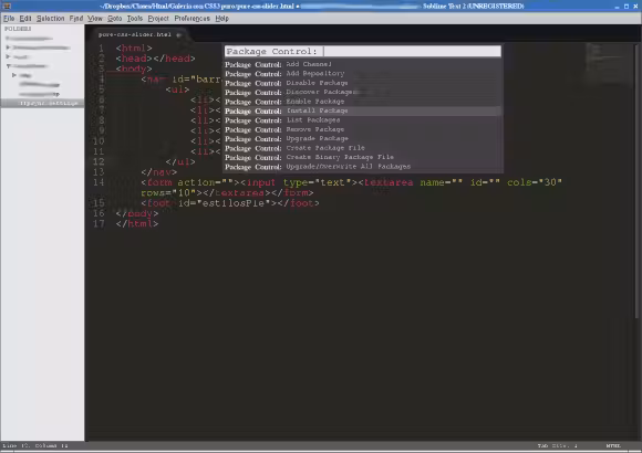 sublime text 10