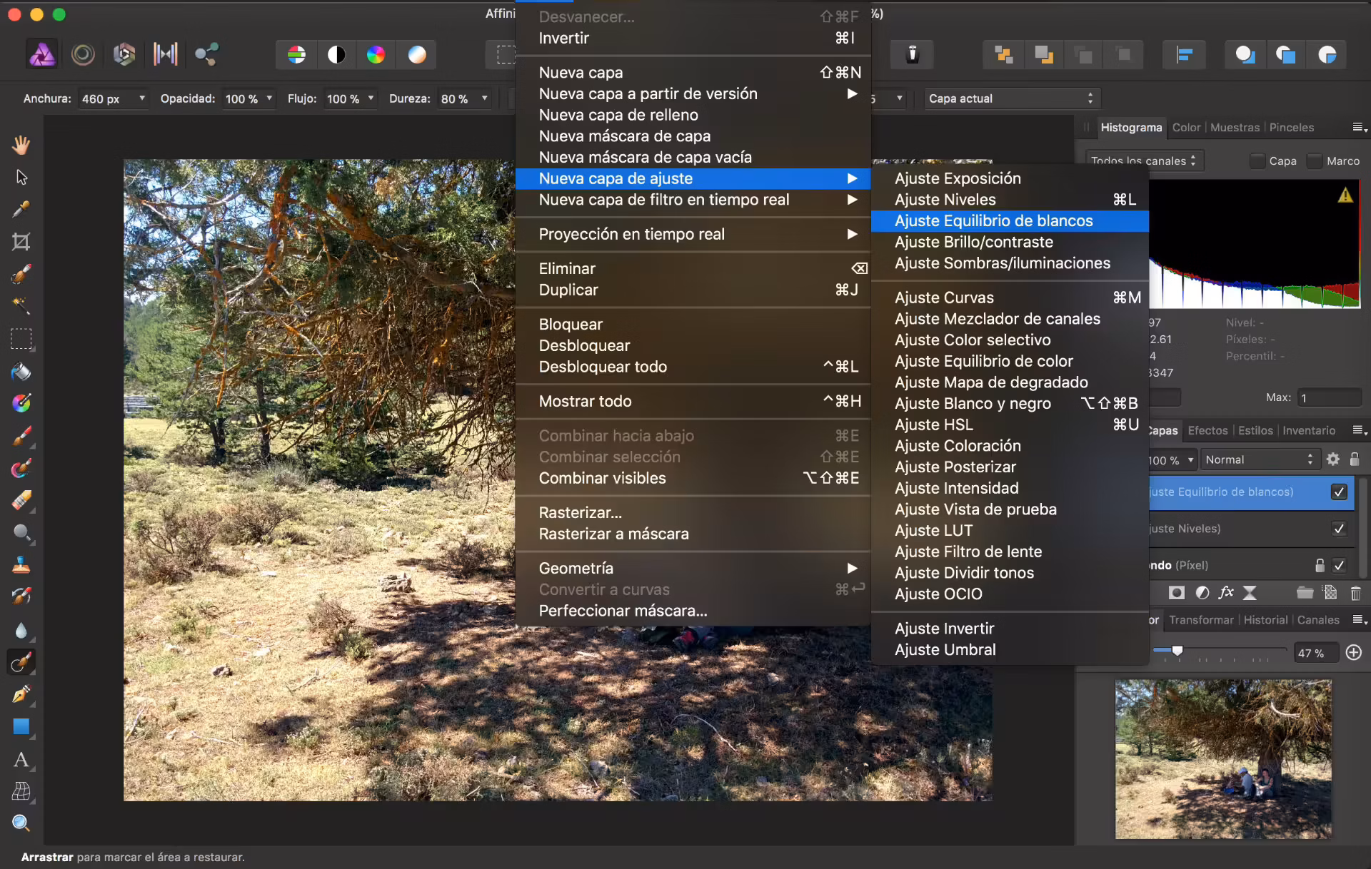 Logo affinity photo