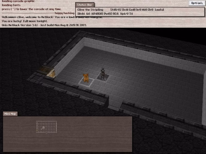 nethack4