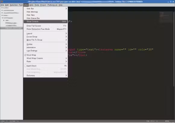 sublime text7