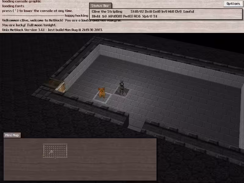 nethack4