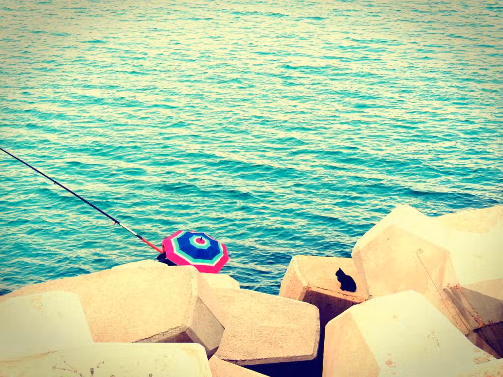 Fishing