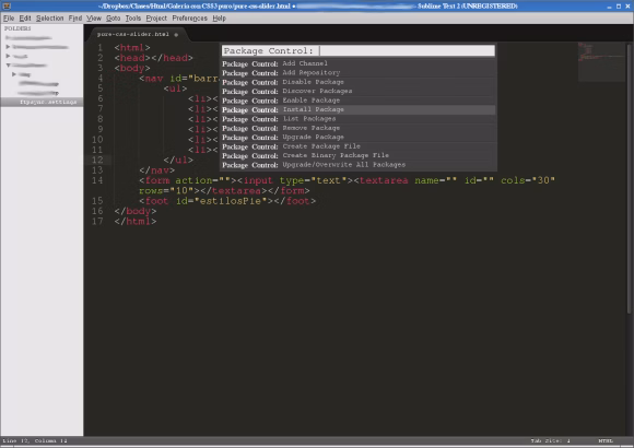 sublime text 10